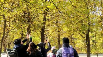 Personengruppe im Wald