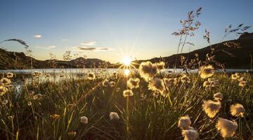 Sonnenaufgang über dem Torsee