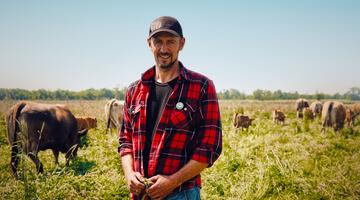 Ein Mann steht vor vielen Kühen auf einer grünen Wiese 
