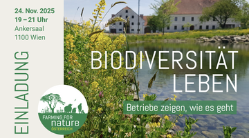 Einladungsbeschreibung. 24. November 2025 im Ankersaal, von 19-21 Uhr