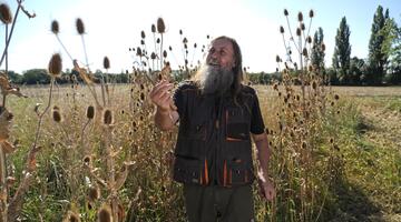 Mann im Wilde Karde Feld 