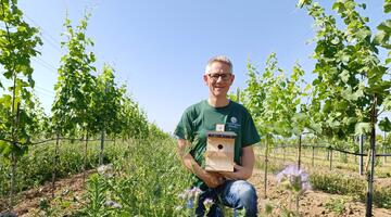 Wolfgang hamm winzer krems