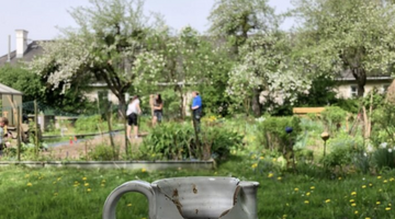 Streuobstwiese LFS Klessheim