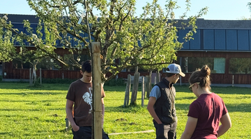 Streuobstwiese für Salzburg