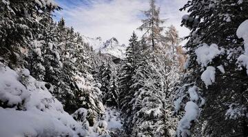 Winterbild Gnadenwald