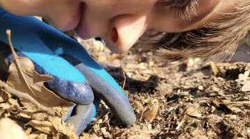 Junge mit keimender Eichel