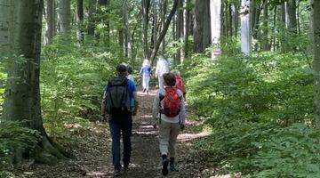 Wandern im Naturpark