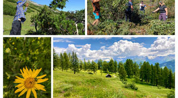Wir unterstützen die Landwirt:innen dabei die Lärchenwiesen und Bergmähder zu erhalten und genießen die wunderschöne, artenreiche Kulturlandschaft