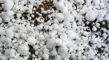 Hagelkörner in der Wiese