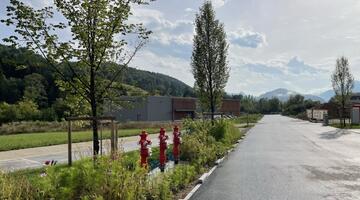 Blühstreifen und Bäume zwischen Fahrbahn und Radweg