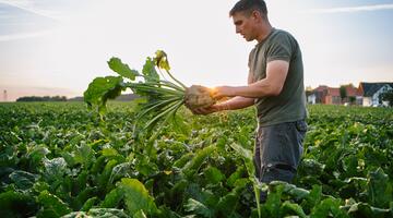 Mann auf einem Zuckerrübenfeld mit einer in der Hand