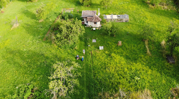 Altbestand der Streuobstwiese im Klostergarten