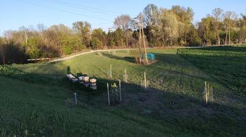 junge Streuobstwiese mit Bäumen und Pflanzenschutz (Baumstangen und Verbissschutzgitter)