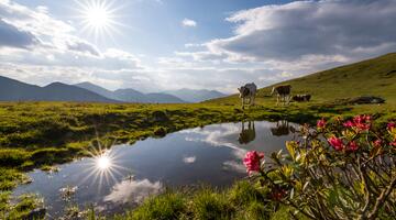 Tradition und Artenvielfalt in den Nockbergen