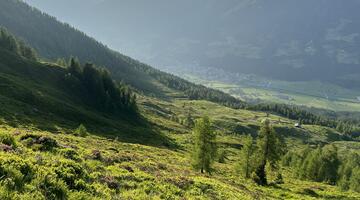 Landschaft