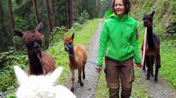 T3-Besuch am Bauernhof