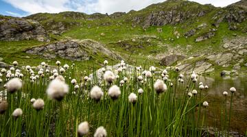 Tour 31 - Halspitz und Rastkogelsee