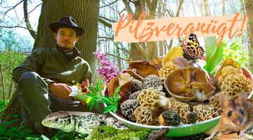 Pilzvergnügt
