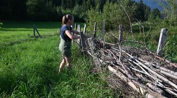 Eine Frau arbeitet an einer traditionellen Riedelzaun-Hecke. Im Hintergrund sind bewaldete Hügel und Berge zu sehen