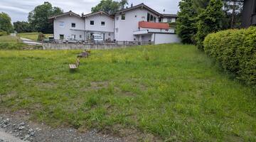 Blumenwiese vor einem Haus