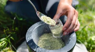 die Kraft der wilden Pflanzen - ein sinnlicher Streifzug