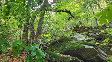 Über den Schmugglerweg von Frain nach Hardegg