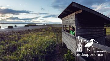 Birdwatching mit Zeiss & Club 300