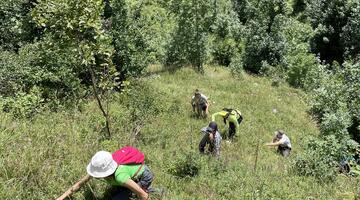 International Workcamp in zwei Nationalparks