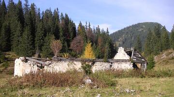 Wilderer G´schichten