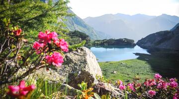 Wanderung zum Rotgüldensee