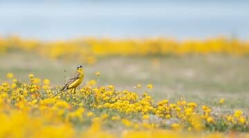 Sommer im Nationalpark