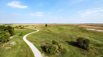 Steppe soweit das Auge reicht: Weideflächen im Seewinkel