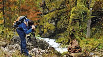 Tagung „Naturfotografie im Dialog“ im Nationalpark Gesäuse