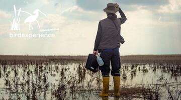 Aktuelle Forschung im Nationalpark