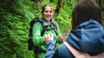 In das Hollersbachtal