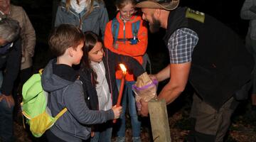 Wildkatzen-Nachtwanderung, Kinderspezial