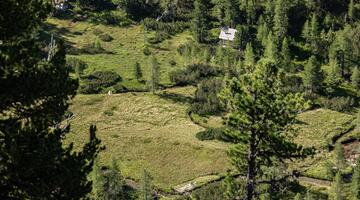 Naturerlebnis Kaponigtal: Moosboden