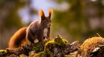 Fotowalk"Naturschätze des Seebachtals"