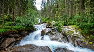 In das Wildgerlostal