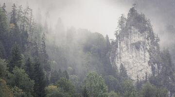 Fotokurs - Herbstbeginn im Nationalpark Gesäuse