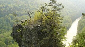 Große Wildnis im kleinsten Nationalpark