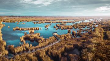 Wildnis voller Leben: der Schilfgürtel des Neusiedler Sees