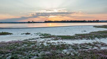 Sodalacken: einzigartige Lebensräume - Fahrradtour