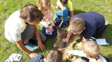 Aug in Aug mit der Wildkatze