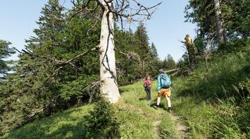 Wildniswandern für Frauen &#40;2 Tage&#41;
