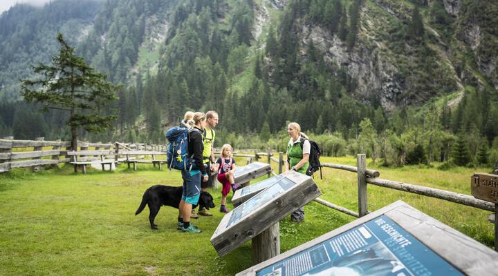 Dein sicherer Einstieg ins Bergabenteuer