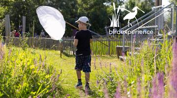 BEX - Next Generation