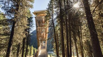 Vorsaison- Nature Watch von oben-Oberhaus