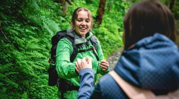 In das Hollersbachtal