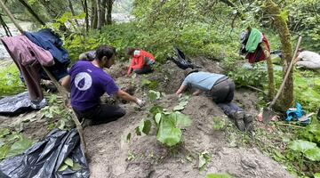 Invasive Aliens Action Days - Internationales Workcamp im Nationalpark Gesäuse